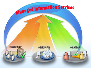 Network Managed Services